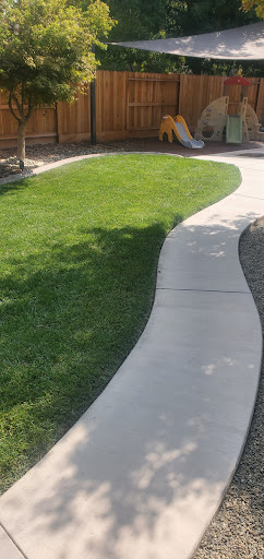 Deckards Landscape - Visual