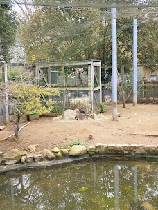Hanwell Zoo london