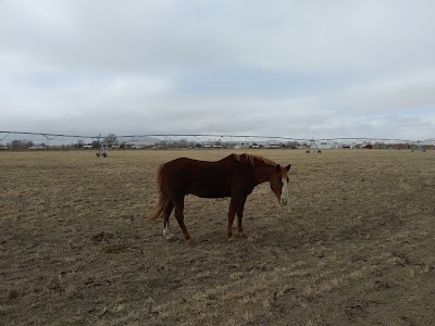 Lazy P Adventure Farm