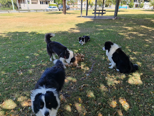 Doris Gibbs park - Thumbnail