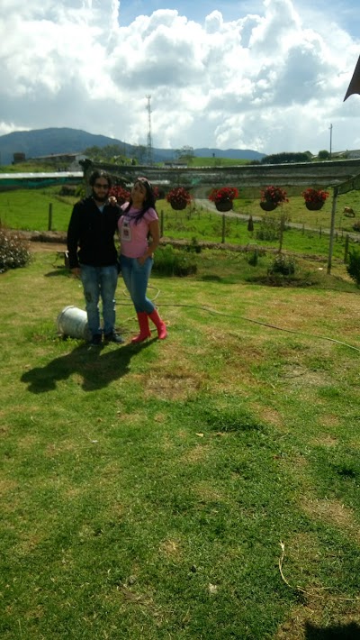 Photos of La Chiqui Travel