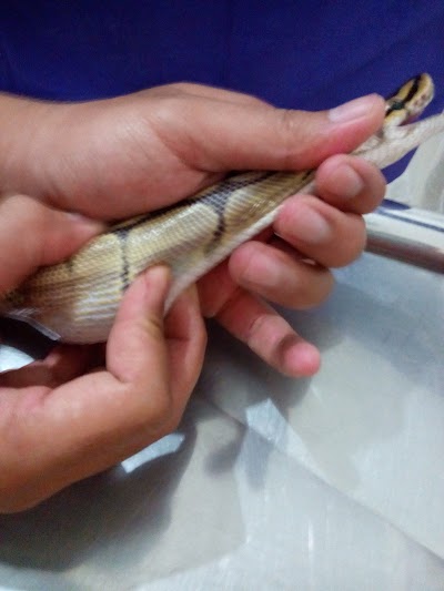 Photos of Panthera Vet