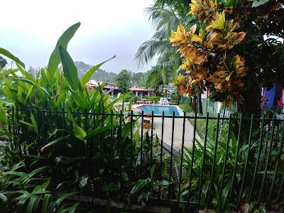 Photos of Wide Mouth Frog Hostel