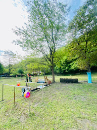 Photo n°19 de Centre Equestre de l'Amitié à Touët-sur-Var (Centre équestre)