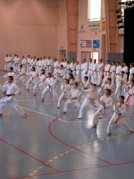 Photo n°2 de Karaté Club Dracénois à Draguignan (Club de karaté)