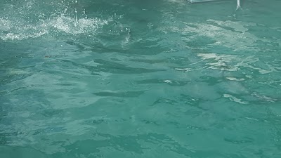 Photos of Sunset Sail Key West