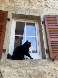 Photo n°24 de Clinique Vétérinaire du Docteur Thollot à Craponne (Clinique vétérinaire)