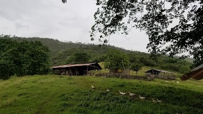 Photos of Salon ana
