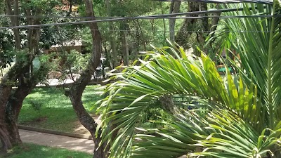 Photos of Pinocho Park