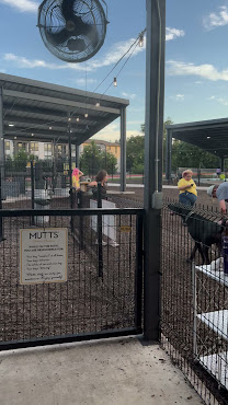 MUTTS Canine Cantina® - Austin by null