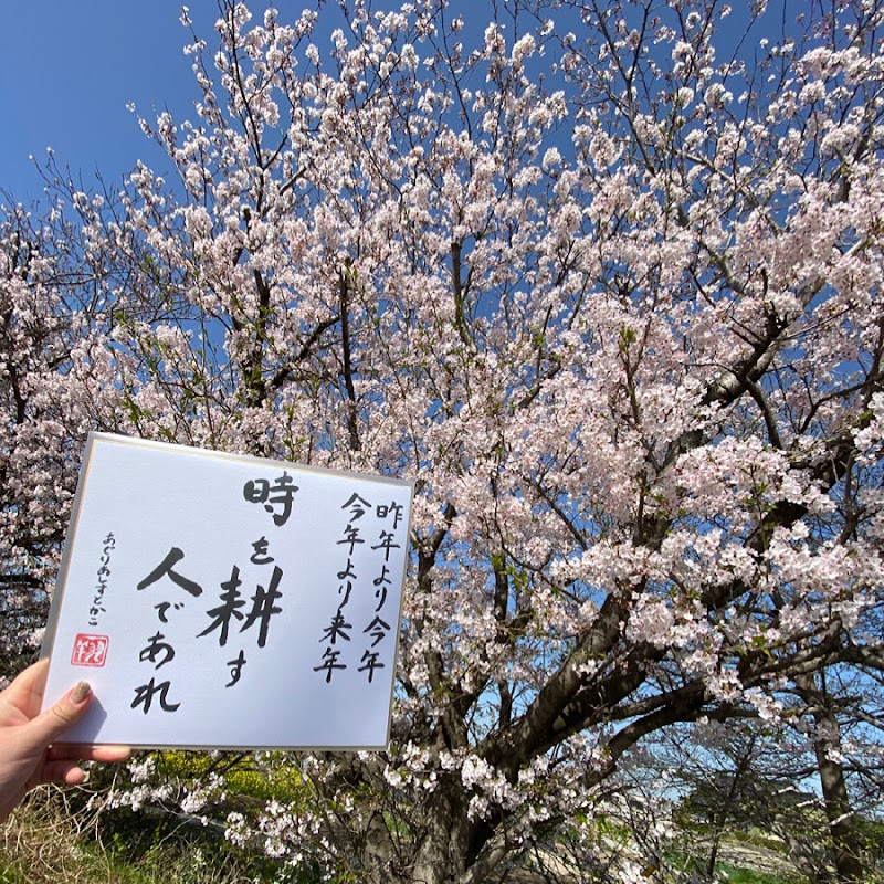 あぐりあしすと加古