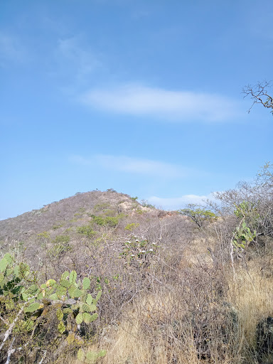 Cerro El Yudani - Thumbnail
