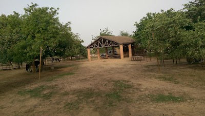 Photos of Cheval Mandingue