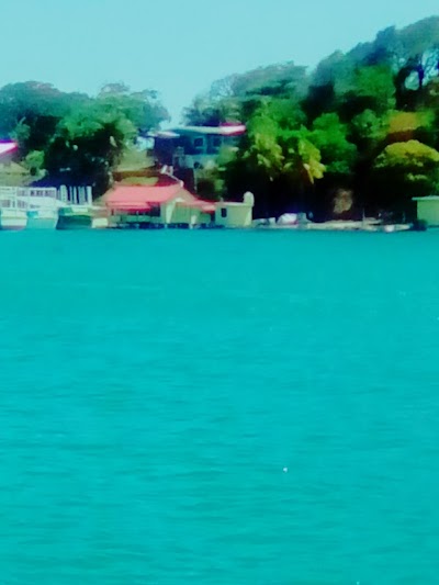 Photos of Roatan Oak Tree Tours