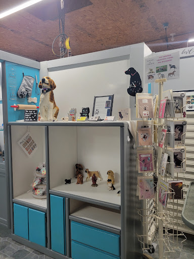 Beggin Bites Gallery - United States
