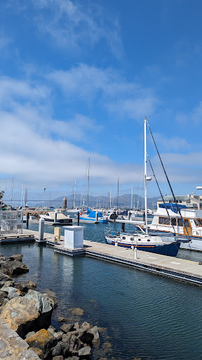 Marina Green Gallery - United States