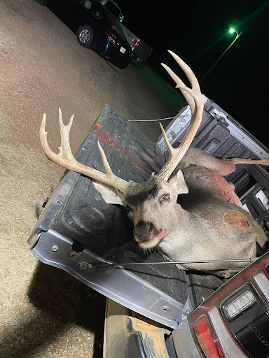 Whitaker's Wild Game Gallery - United States