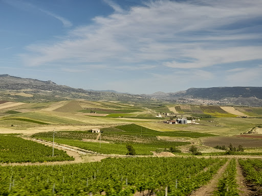 Colline del Belice - Thumbnail