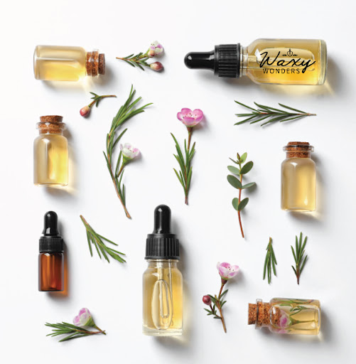 Waxy Wonders - Thumbnail