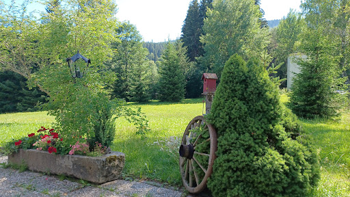 Arberhütte - Visual