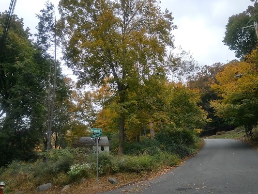 Briarcliff Manor - Image 4