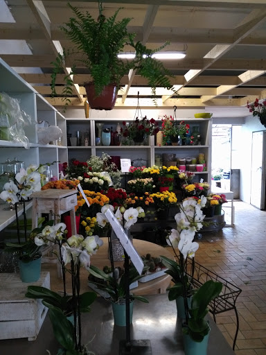 Gilbert Fleurs - Thumbnail
