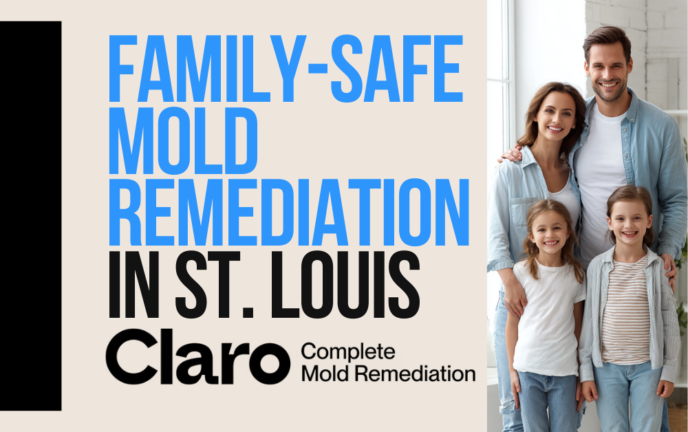 Claro - Complete Mold Remediation - St. Louis photo