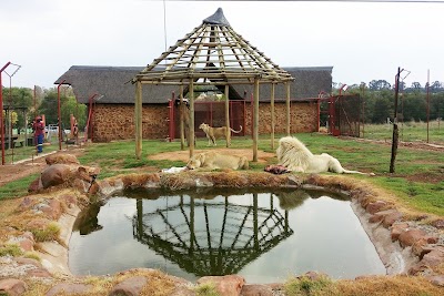 Photos of Pienaardam Leisure Resort