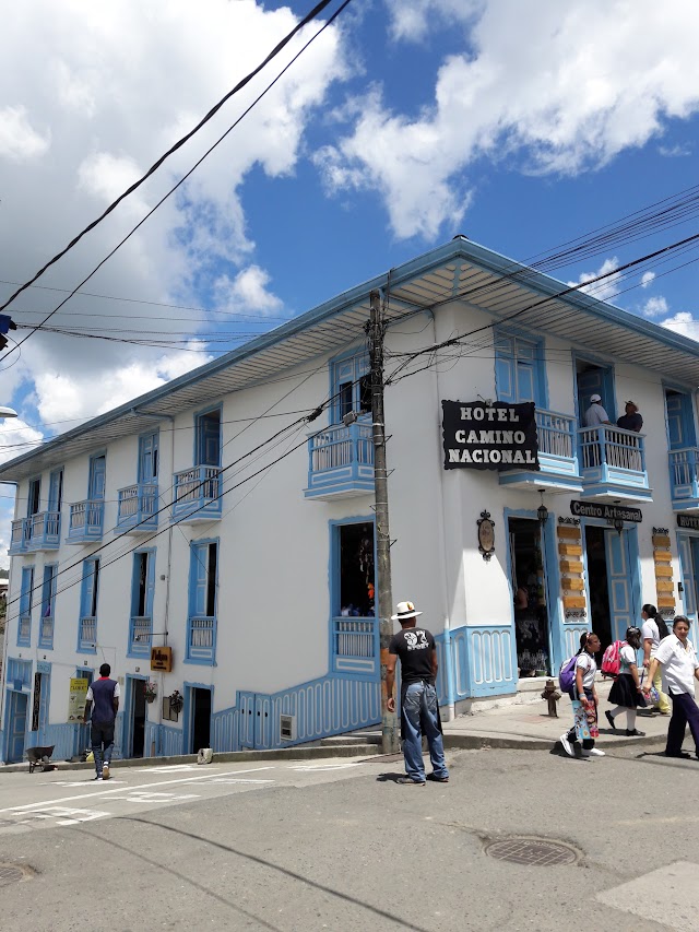 Valle Del Cocora