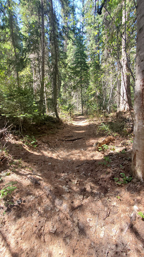 Martin Falls - Thumbnail