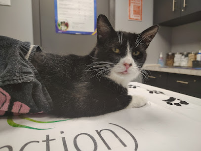 Foto de Premier Paws