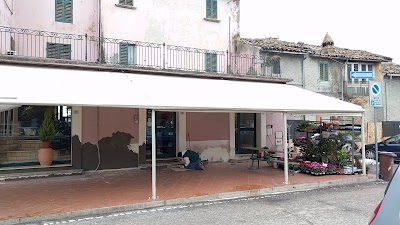 Flower Shop Di Filippo Gaetano