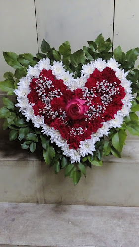 Opinii despre El Jardín de Alejandrino în Talcahuano - Floristería