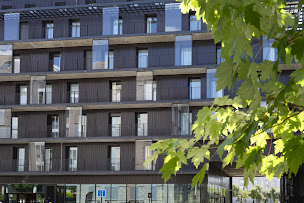 Photo n°39 de PAPATO Restaurant Bar | Paris 13 à Paris (Espace de coworking)