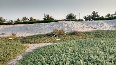 Photos of Walkway & Park