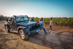 Photo n°2 de Une Escapade en Provence à Bormes-les-Mimosas (Agence de visites touristiques)