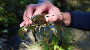 Photo n°9 de Stage de survie à Montpellier (Centre de sports d'aventure)