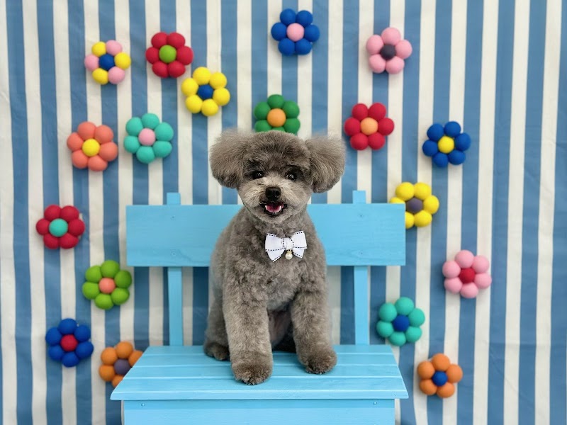 Dog Salon TomaReRe