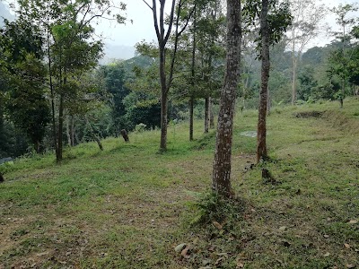 Photos of Bumi Perkemahan Lumbung Wit-witan