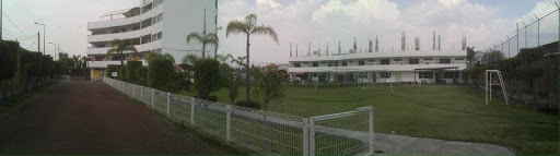 Adasep Sc - Visual