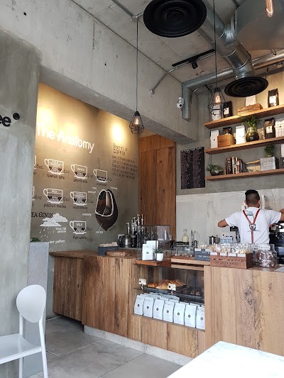 Photos of His Majesty the Coffee
