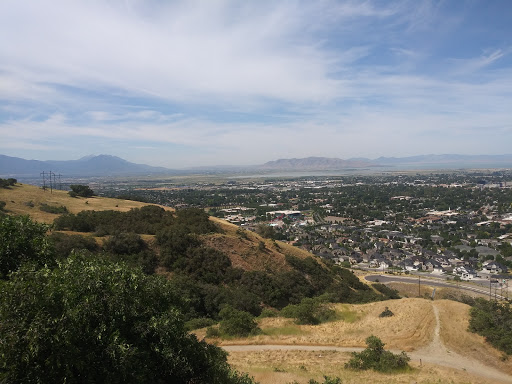 Harmon Park - Visual