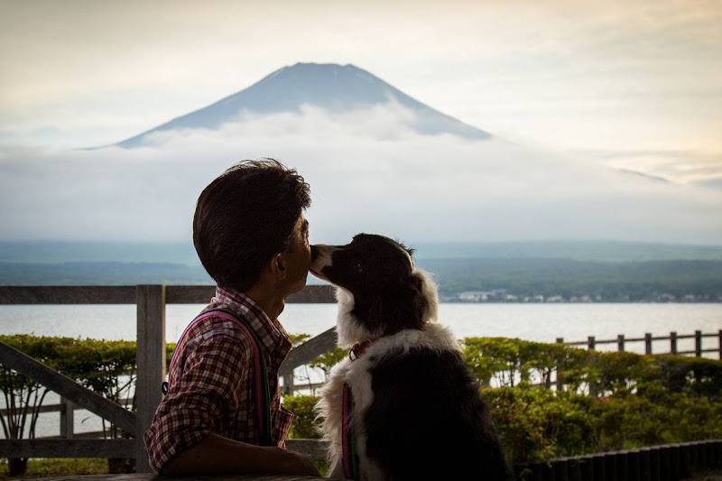 株式会社 パウ・エンジェルス