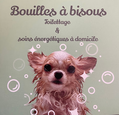 Bouilles à bisous - Toilettage et Soins Energétiques à Domicile
