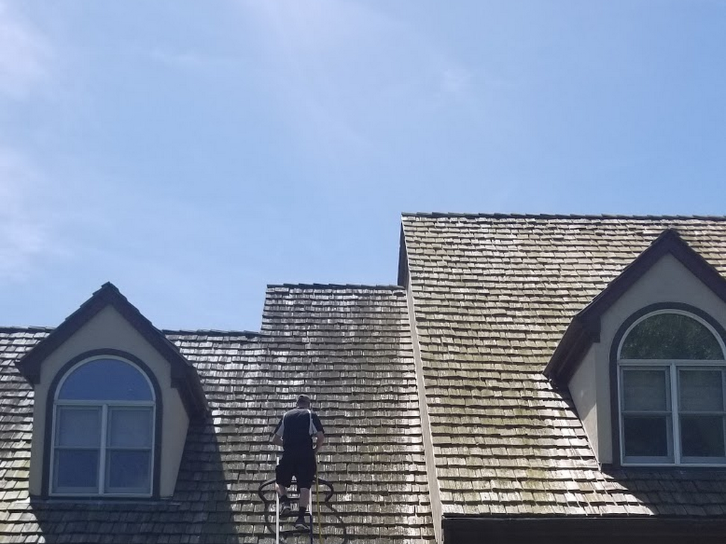 Forza Roof Cleaning
