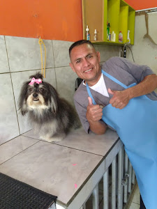 Veterinaria Rodriguez Eirl 9