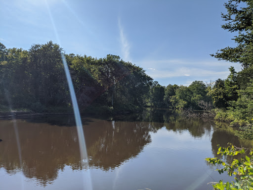 Merwin Creek Campground Gallery - United States