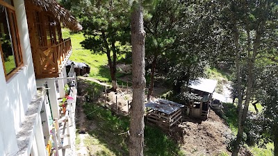 Photos of Villa Sabor