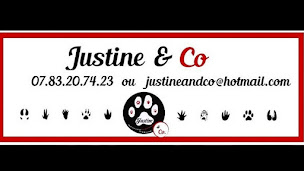 Photo n°11 de Association Justine & Co Protection animale en Lot et Garonne à Nérac (Association pour la protection des animaux)