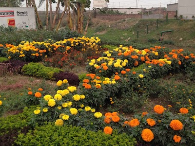 Photos of Koyra Bazar